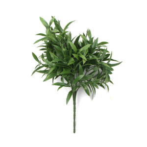 Dianthus Green