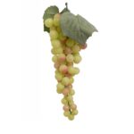 witte kunst druiven