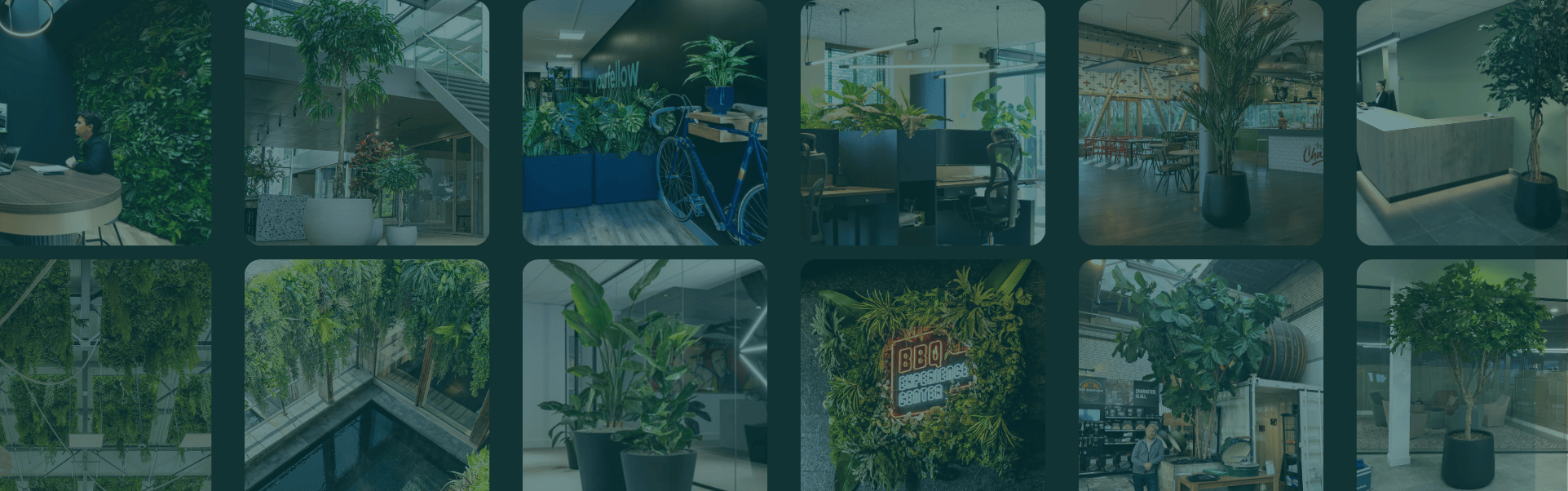 Interieur inspiratie voor planten